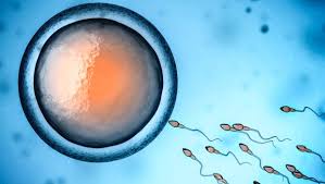 Human life begins at conception.